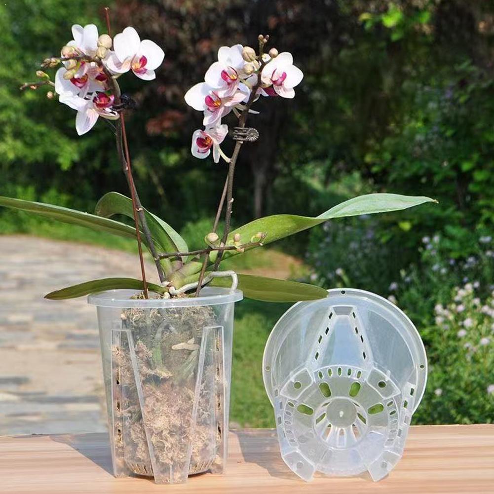 Plastic Root Control Transpare - Aloe Vera Pot ulasan dan harga