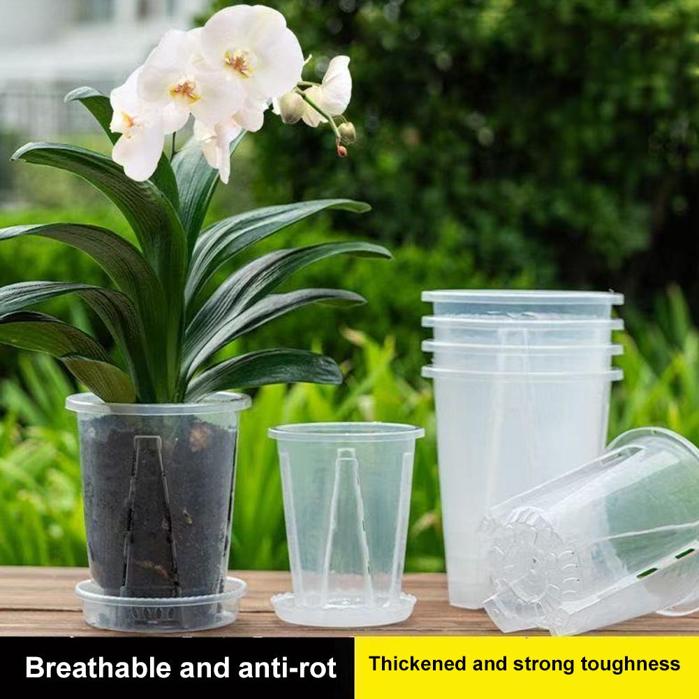Plastic Root Control Transpare - Aloe Vera Pot ulasan dan harga
