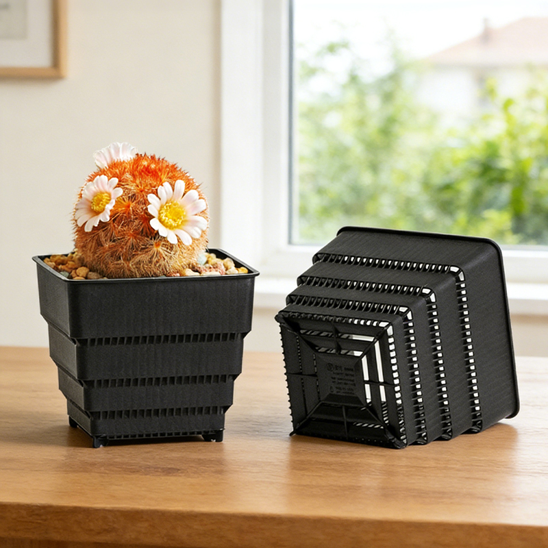 MESHPOT 6-Pack Square Pots for - Echeveria Succulent ulasan dan harga