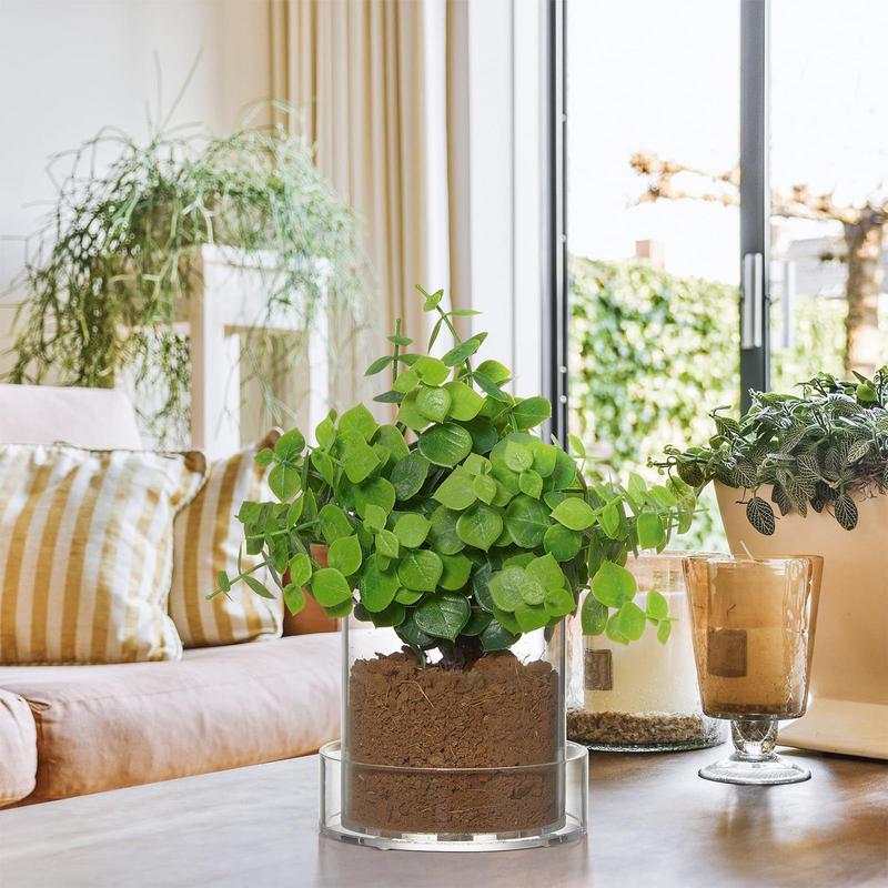 Clear Plant Pots With Drainage - Aloe Vera Pot ulasan dan harga