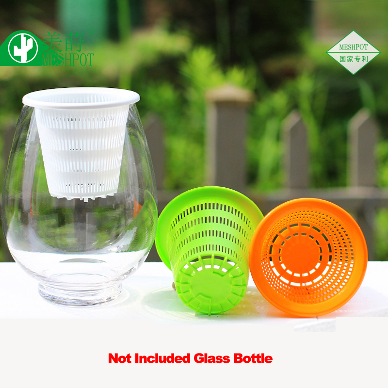 Meshpot 3PCS Colorful Plastic  - Aloe Vera Pot ulasan dan harga